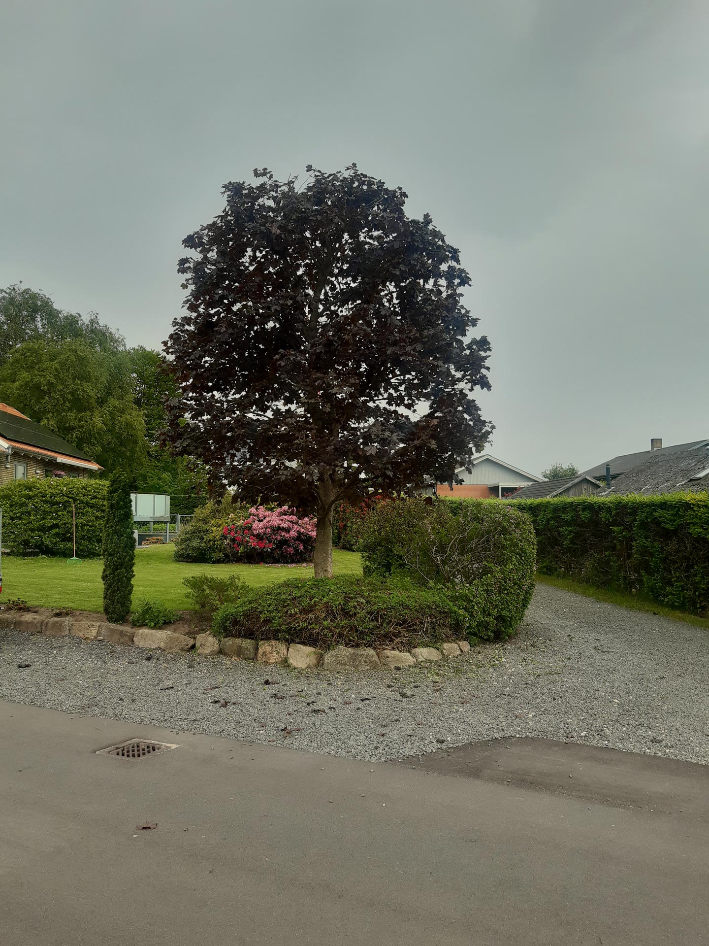 KM i fuld aktion med motor saven